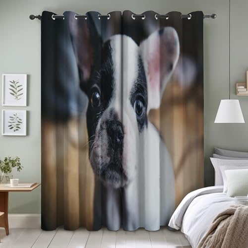 TMMDH Französische BulldoggeVerdunkelungsvorhang 2 StüCk,mit Ösen H260 X B140, Meereslebewesen Thermovorhang KäLteschutz Hitzeschutz füR Schlafzimmer Wohnzimmer TMMDH Französische BulldoggeVerdunkelungsvorhang 2 StüCk,mit Ösen H260 X B140, Meereslebewesen Thermovorhang KäLteschutz Hitzeschutz füR Schlafzimmer Wohnzimmer von TMMDH