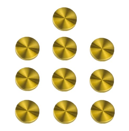 TMTGTS 304 Edelstahl Kappe Abdeckung Nägel 20 Stück Spiegelschrauben Zylindrisch dekorativer Spiegel Schrauben Edelstahl Poliert Nägel für Spiegel Glasbadplatten Kleiderschränke Möbel(40mm) von TMTGTS