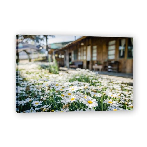 TNGHHSGA Blumen Vor Dem HausNaturlandschaft Fotoreal auf Leinwand – Ruhiges Kunstwerk für Wohnzimmer Deko70x105cm Gerahmt TNGHHSGA Blumen Vor Dem HausNaturlandschaft Fotoreal auf Leinwand – Ruhiges Kunstwerk für Wohnzimmer Deko70x105cm Gerahmt von TNGHHSGA