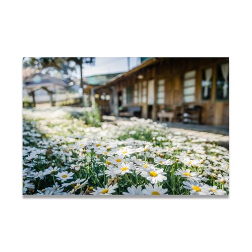 TNGHHSGA Blumen Vor Dem HausNaturlandschaft Fotoreal auf Leinwand – Ruhiges Kunstwerk für Wohnzimmer Deko80x120cm Ungerahmt TNGHHSGA Blumen Vor Dem HausNaturlandschaft Fotoreal auf Leinwand – Ruhiges Kunstwerk für Wohnzimmer Deko80x120cm Ungerahmt von TNGHHSGA