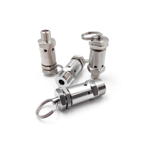 TNGNMGVSJ 1pc 1.0Mpa Fixed BSPT 0.25inch Male Spring Valve Exhaust 304 Stainless Steel Suitable von TNGNMGVSJ