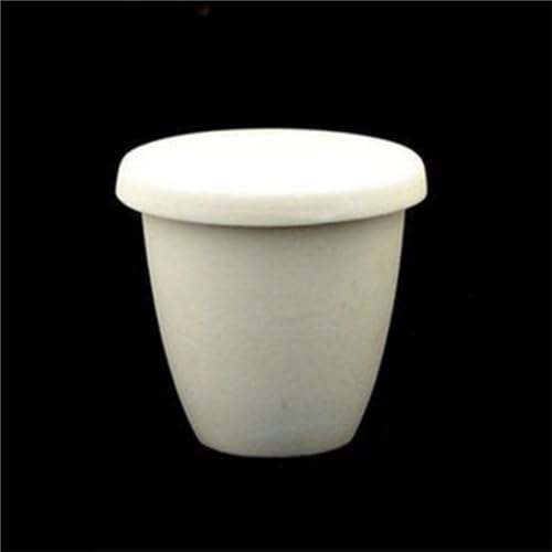 1 Stück Aluminiumoxid-Aschetiegel mit Deckel – 5–1000 ml for die Metallveredelung und den Laborgebrauch(500ml) von TNGYTY