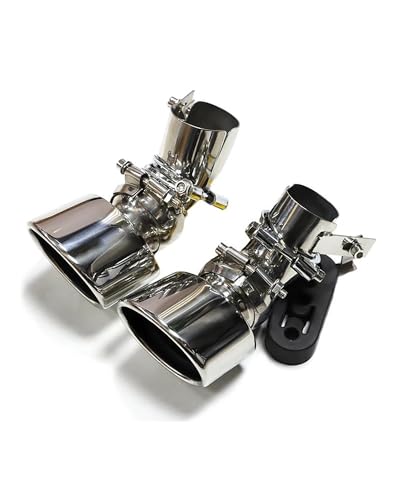 TNSSCZM Auto Auspuffblend 1 Paar Auspuffblende Für Benz W211 E300 E280 E260 2002-2007 304 Edelstahl Autoauspuffrohr Einzelauspuffblenden Endrohrblenden von TNSSCZM
