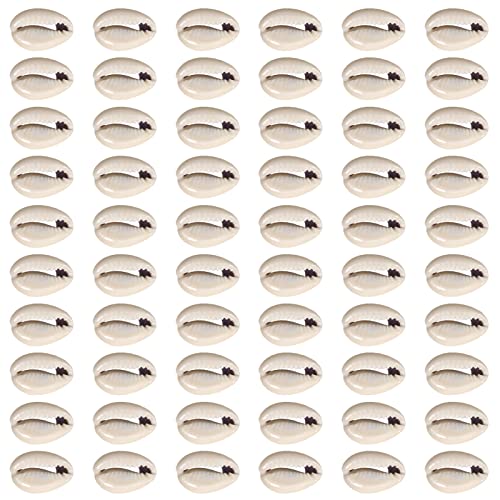TOAOB 200 Stück Natürlichen Muschel Perlen mit Loch zum Auffädeln Grau Spirale Kauri Muscheln Bastelnmuscheln 12 bis 14mm für DIY Schmuck Machen Oder Deco Handwerk von TOAOB THE ONE AND ONLY BABY