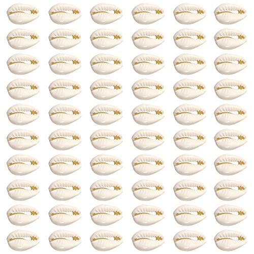 TOAOB 200 Stück Natürlichen Muschel Perlen mit Loch zum Auffädeln Beige Spirale Kauri Muscheln Bastelnmuscheln 12 bis 14mm für DIY Schmuck Machen oder Deco Handwerk von TOAOB THE ONE AND ONLY BABY
