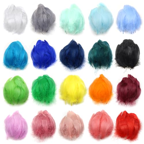 TOAOB 240 Stück Bunte Indianer Federn Natur zum Basteln Gänsefedern für Handwerk Dekoration DIY Crafts Feather von TOAOB THE ONE AND ONLY BABY