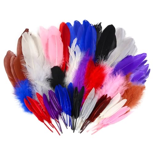 TOAOB 480 Stück 6 Stile Bunte Indianer Federn Natur zum Basteln Gänsefedern für Handwerk Dekoration DIY Crafts Feather von TOAOB THE ONE AND ONLY BABY