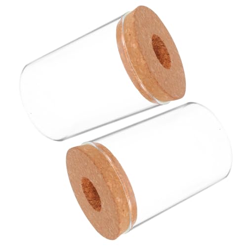 TOBBOMEY 2 Stück Hydrokultur Glasvase Transparente Vermehrungsvasen für Pflanzen Anzucht und Tischdeko für Büro und Zuhause als Süßes Air Planter Terrarium von TOBBOMEY