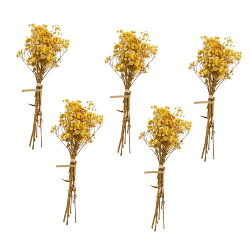 TOBBOMEY 5 Stück Teiliges Gypsophila Natürliche Deko für Zuhause und Hochzeit Gelbe Geeignet für Vasen und Blumenarrangements Langlebige Geschenkdekoration TOBBOMEY 5 Stück Teiliges Gypsophila Natürliche Deko für Zuhause und Hochzeit Gelbe Geeignet für Vasen und Blumenarrangements Langlebige Geschenkdekoration von TOBBOMEY