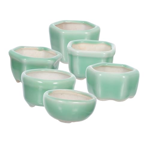 TOBBOMEY 6 Stück Mini Blumentöpfe aus Steinzeug Kleine Succulent Pflanzer in Verschiedenen Designs Kompakte Töpfe für Mini Pflanzen Leicht und Modern für Schreibtisch und Innenräume von TOBBOMEY