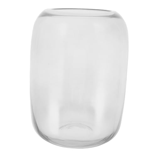 TOBBOMEY Hydroponische Glasvase Terrariumflasche für Kleine Sukkulenten und Moosball Pflanzen Transparentes Pflanzgefäß für Tischdeko Büro und Wohnraum Luftreinigend und Entspannend TOBBOMEY Hydroponische Glasvase Terrariumflasche für Kleine Sukkulenten und Moosball Pflanzen Transparentes Pflanzgefäß für Tischdeko Büro und Wohnraum Luftreinigend und Entspannend von TOBBOMEY