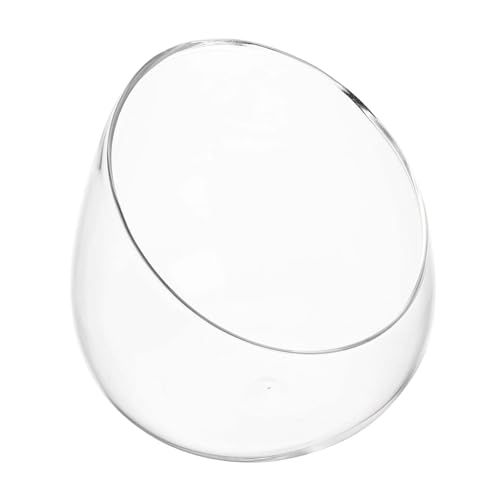 TOBBOMEY Klare Borosilikatglas Succulent Bottle Dickwandige Ökologische Landschaftsvase für Zuhause Büro Vielseitige Pflanzendekoration Stilvoll Transparent Langlebig Geschenk für Freunde von TOBBOMEY