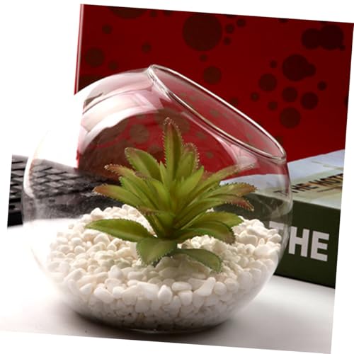 TOBBOMEY Kleine Glasflasche Terrarium Mini Ökoflasche aus Hochwertigem Glas für DIY Mikrolandschaft Pflanzendekoration Robustes Material für Tisch Regal Wohnraum Gestaltung von TOBBOMEY