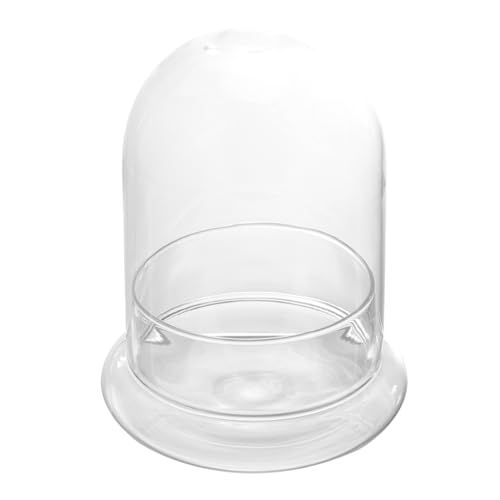 TOBBOMEY Micro Landscape Glasflasche mit Basis Ökologische Tischdekoration für Zuhause und Büro Langlebiges Glas Stilvolle Präsentation für Miniaturpflanzen und Ornamente Dekorativ für von TOBBOMEY