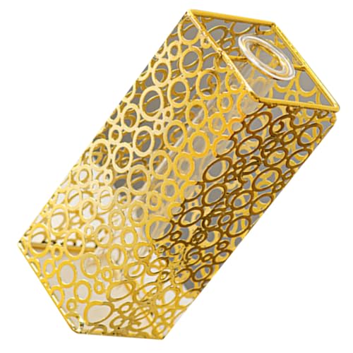 TOBBOMEY Minimalistische Hydroponische Glasvase mit Goldenem Metallrahmen Kreativer Transparenter Röhrentopf für Pflanzen Dekorativer Blumenhalter für Büro und Esstisch TOBBOMEY Minimalistische Hydroponische Glasvase mit Goldenem Metallrahmen Kreativer Transparenter Röhrentopf für Pflanzen Dekorativer Blumenhalter für Büro und Esstisch von TOBBOMEY