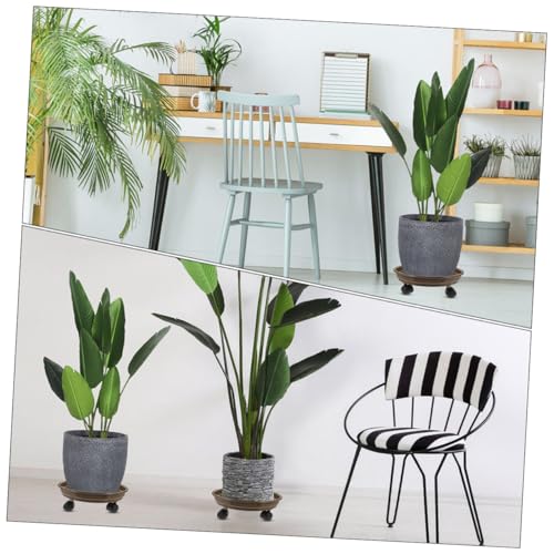 TOBBOMEY Mobiler Pflanzenroller Rund mit Rädern Pflanzpaletten transportwagen für Blumentöpfe Außen und Innen Kraftsparender Pflanzentrolley für Balkon Terrasse Wohnzimmer TOBBOMEY Mobiler Pflanzenroller Rund mit Rädern Pflanzpaletten transportwagen für Blumentöpfe Außen und Innen Kraftsparender Pflanzentrolley für Balkon Terrasse Wohnzimmer von TOBBOMEY