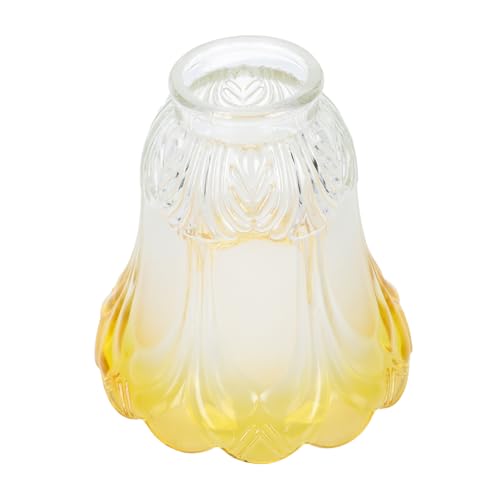 TOBBOMEY Moderner Lampenschirm aus Mattiertem Glas Schützender Lampenabdeckung für Deckenleuchten Installieren Blendfreies Licht Stilvolle Beleuchtung für Wohnzimmer und Schlafzimmer TOBBOMEY Moderner Lampenschirm aus Mattiertem Glas Schützender Lampenabdeckung für Deckenleuchten Installieren Blendfreies Licht Stilvolle Beleuchtung für Wohnzimmer und Schlafzimmer von TOBBOMEY