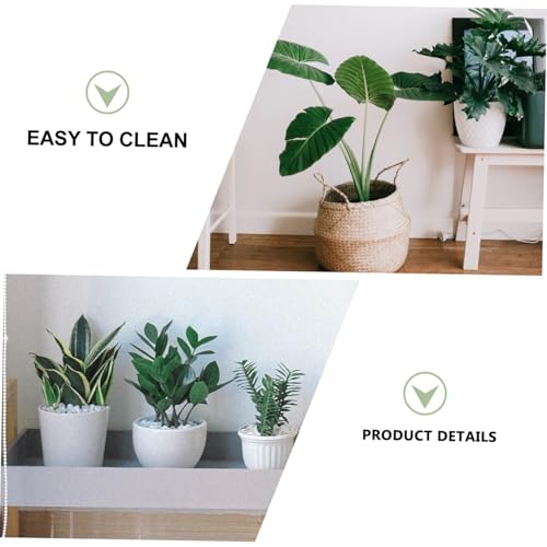 TOBBOMEY Pflanzenroller mit Rädern Halbdurchsichtiger Blumentopfuntersetzer aus Robustem Harz Beweglicher Pflanztopfhalter für Garten und Zimmerpflanzen Wasserauffangschale Weiß TOBBOMEY Pflanzenroller mit Rädern Halbdurchsichtiger Blumentopfuntersetzer aus Robustem Harz Beweglicher Pflanztopfhalter für Garten und Zimmerpflanzen Wasserauffangschale Weiß von TOBBOMEY