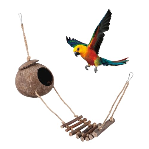 TOBBOMEY Reptilien Versteck Höhle aus Naturmaterial mit Leiter für Terrarium Deko für Eidechsen Spinnen und Hamster Design und Farbecht von TOBBOMEY