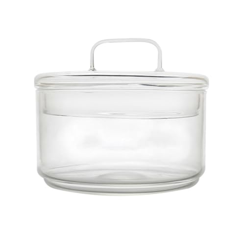 TOBBOMEY Transparente Glasschale mit Deckel Hitzebeständige Kleine Salatschüssel für Obst Dessert und Snacks Lebensmittelecht Spülmaschinenfest Vielseitige Servierschale für Haushalt und TOBBOMEY Transparente Glasschale mit Deckel Hitzebeständige Kleine Salatschüssel für Obst Dessert und Snacks Lebensmittelecht Spülmaschinenfest Vielseitige Servierschale für Haushalt und von TOBBOMEY