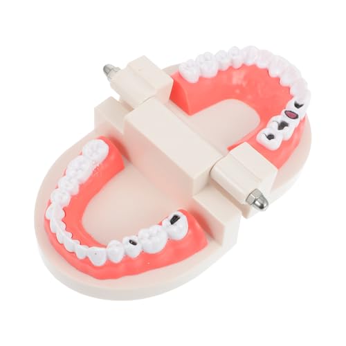 TOBBOMEY Zahnmodell Lernspielzeug Lehrmittel Karies Modell für Frühe Mundhygiene Motoriktraining Hand auge koordination Spielerisch Fördern Bpa frei Langlebig TOBBOMEY Zahnmodell Lernspielzeug Lehrmittel Karies Modell für Frühe Mundhygiene Motoriktraining Hand auge koordination Spielerisch Fördern Bpa frei Langlebig von TOBBOMEY
