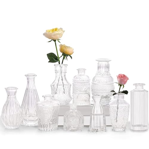 Mini Vasen Glas Set 10er,Bunt Glasvasen für Tischdeko Vintage Blumenvase Hochzeit Office Garden Décor Als Einzugsgeschenk für Freunde und Familie Verwendet Werden von TOBENGDA