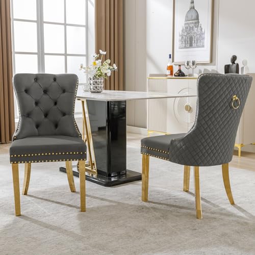 Esszimmer Stühle 2er Set, Küchenstühle Modern mit Nagelkopfbesatz, Stützbeine aus vergoldetem Edelstahl, Esszimmerstuhl mit einzigartigem Runde Zugringe, Polsterstuhl Samt, 50.5*45*95 cm (Grau) von TOBIDOEN