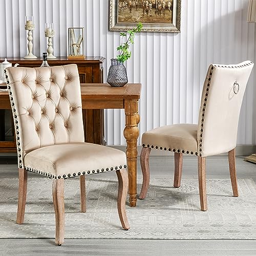 Stühle Esszimmer 2er Set, Modern Esszimmerstuhl Küchenstühle mit einzigartigem Türklopfer auf der Rückseite, Polsterstuhl mit Nagelkopfbesatz, Massivholz Beinen, Samt, 49*63*95cm (Helles Kamel) von TOBIDOEN