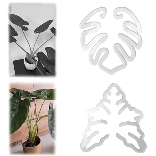 TOEECY 2 Stück Pflanzenstütze Transparenter Blattförmiger Halter Pflanzenclips Wiederverwendbar Wurzelstütze für Topfpflanzen Blumen Gemüse von TOEECY