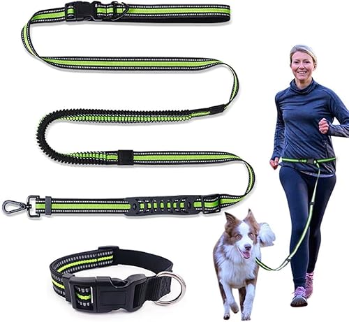 TOEECY Hundegeschirr Hundeleine Verdickte Freihandleinen Verstellbar Übungsleine Führleine mit Schnalle und Griffen Große Mittelgroße Hunde für Gehen Joggen Laufen Training (Grün/L) von TOEECY