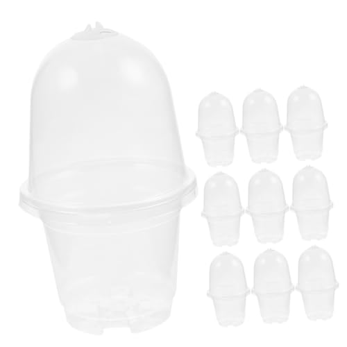 TOGEVAL 10 Sätze Teiliges Transparente Kunststoff Anzuchttöpfe mit Deckel Leicht Stapelbar mit Drainagelöchern Atmungsaktiv und Feuchtigkeitsbewahrend für Garten und Pflanzenanzucht TOGEVAL 10 Sätze Teiliges Transparente Kunststoff Anzuchttöpfe mit Deckel Leicht Stapelbar mit Drainagelöchern Atmungsaktiv und Feuchtigkeitsbewahrend für Garten und Pflanzenanzucht von TOGEVAL