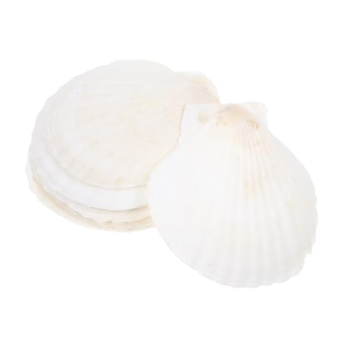 TOGEVAL 10 Stück Teiliges Natürliche Weiße Jakobsmuscheln DIY Bastelmuscheln für Heimdekoration Aquariumgestaltung und Kreative Handwerksprojekte von TOGEVAL