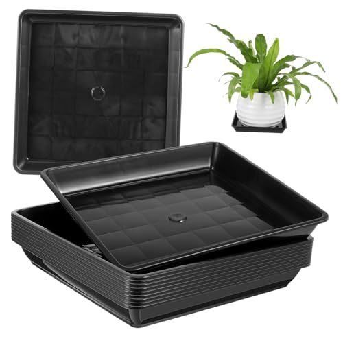 TOGEVAL 10 Stück Teiliges Quadratische Pflanzuntersetzer aus Hitzebeständigem Resin Robustes Abtropf Tablett für Kleine Blumentöpfe für Garten und Innenbereich Schwarze Pflanzschalen von TOGEVAL