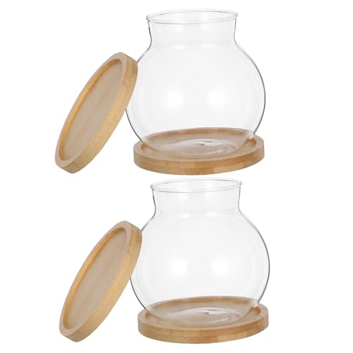 TOGEVAL 2 Satz Hydroponische Pflanzenstation mit Klarem Glasbehälter und Bambusmatte Kleine Tischdeko für Blumen Gemüse Pflanzen Stabile Desktop Vase für Büro Zuhause Garten TOGEVAL 2 Satz Hydroponische Pflanzenstation mit Klarem Glasbehälter und Bambusmatte Kleine Tischdeko für Blumen Gemüse Pflanzen Stabile Desktop Vase für Büro Zuhause Garten von TOGEVAL
