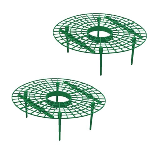 TOGEVAL 2 Stück Teiliges Pflanzen Klettergestell aus Langlebige Erdbeer Rankhilfe mit Stabilem Pflanzenhalter für Garten und Balkon Praktische Kletterstütze für Beeren und Kletterpflanzen von TOGEVAL