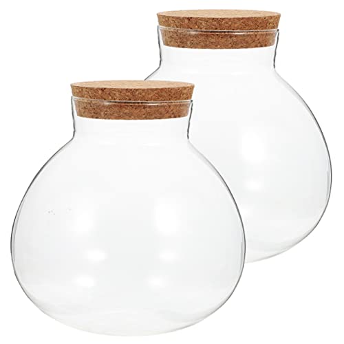 TOGEVAL 2 Stück Terrarium Flasche mit Korkdeckel Sphärische DIY Mikrolandschaft Flasche für Pflanzen Transparent für Kreative Deko und Ökosysteme TOGEVAL 2 Stück Terrarium Flasche mit Korkdeckel Sphärische DIY Mikrolandschaft Flasche für Pflanzen Transparent für Kreative Deko und Ökosysteme von TOGEVAL