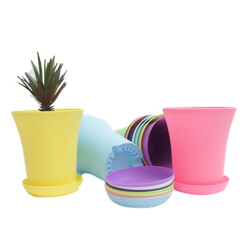 TOGEVAL 20 Stück Teiliges Runde Kunststoff Untersetzer für Pflanzgefäße wasserdichte Pflanzschalen für Sukkulenten und Bonsai Sonnenschutzbeschichtet für Garten Balkon und Zufällige Farbe TOGEVAL 20 Stück Teiliges Runde Kunststoff Untersetzer für Pflanzgefäße wasserdichte Pflanzschalen für Sukkulenten und Bonsai Sonnenschutzbeschichtet für Garten Balkon und Zufällige Farbe von TOGEVAL