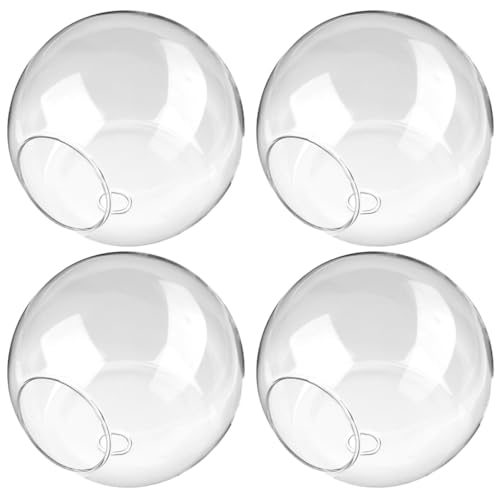 TOGEVAL 4 Stück Teiliges Halb-rundes Glas-wandpflanzgefäß für Hydrokultur Transparente Hängende Wandvase Modernes Pflanzendekor für Büro und Kleine Wohnungen Einfaches Pflanzenmonitoring von TOGEVAL