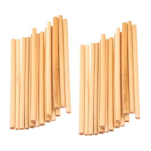 TOGEVAL 50 Stück Natürliche Nisthülsen Wildbienen Röhren Schilfrohr Bienenröhren Ersatz für Bienenhotel Garten Balkon TOGEVAL 50 Stück Natürliche Nisthülsen Wildbienen Röhren Schilfrohr Bienenröhren Ersatz für Bienenhotel Garten Balkon von TOGEVAL