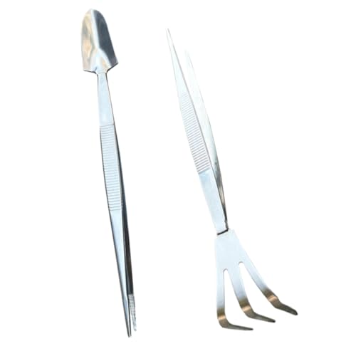 TOGEVAL Edelstahl Bonsai Pinzette mit Spatelkopf und Rechen Gartentool für Moospflege Unkrautentfernung und Bodenbearbeitung Rostfrei Handlich Langlebig für Indoor Gartenpflanzen von TOGEVAL