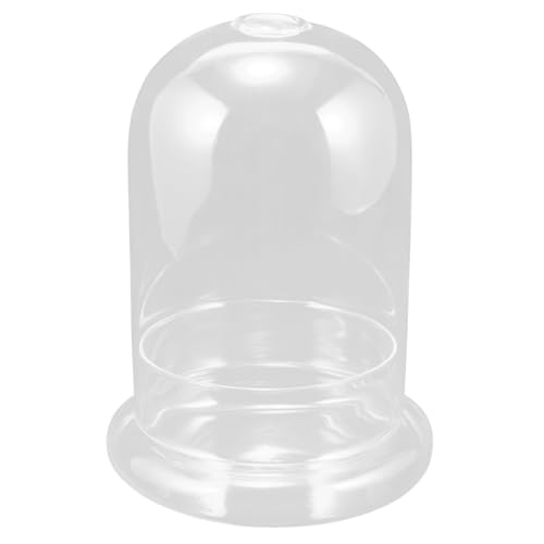 TOGEVAL Glaskuppel mit Sockel Transparentes Displaygehäuse für Konservierte Blumen Kleine Dekoglocke für Ewige Blumenarrangements Stabiles Glasgehäuse mit Belüftungsloch Vielseitig TOGEVAL Glaskuppel mit Sockel Transparentes Displaygehäuse für Konservierte Blumen Kleine Dekoglocke für Ewige Blumenarrangements Stabiles Glasgehäuse mit Belüftungsloch Vielseitig von TOGEVAL