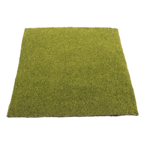 TOGEVAL Künstlicher Moosrasen Realistische Simulation Dekorativer Grüner Teppich für Sandtisch und Miniaturlandschaft Feine Verarbeitung Lebensecht für DIY Bastelprojekte TOGEVAL Künstlicher Moosrasen Realistische Simulation Dekorativer Grüner Teppich für Sandtisch und Miniaturlandschaft Feine Verarbeitung Lebensecht für DIY Bastelprojekte von TOGEVAL