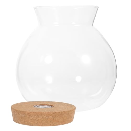 TOGEVAL LED Glasflasche mit LED Licht Transparenter DIY Mikro Landschafts Flaschengarten Kreativer Ökosystem Glasbehälter für Zimmerdekoration für Wohnzimmer Büro TOGEVAL LED Glasflasche mit LED Licht Transparenter DIY Mikro Landschafts Flaschengarten Kreativer Ökosystem Glasbehälter für Zimmerdekoration für Wohnzimmer Büro von TOGEVAL