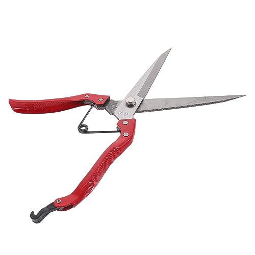 TOGEVAL Manuelle Schafschere Hochwertige Wollschneiderschere mit Elastischer für Effektives Trimmen von Schafwolle und Langlebig und Praktisch für Einsatz Bauernhof TOGEVAL Manuelle Schafschere Hochwertige Wollschneiderschere mit Elastischer für Effektives Trimmen von Schafwolle und Langlebig und Praktisch für Einsatz Bauernhof von TOGEVAL