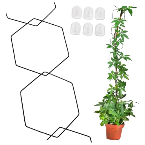 TOGEVAL Metall Pflanzen Klettergitter Verstellbar Robust Wetterfest Ketten spalier für Wandmontage Balkon Garten Pflanzenschutz bis Ringe mit Wandhaken für Flexible Pflanzenstütze TOGEVAL Metall Pflanzen Klettergitter Verstellbar Robust Wetterfest Ketten spalier für Wandmontage Balkon Garten Pflanzenschutz bis Ringe mit Wandhaken für Flexible Pflanzenstütze von TOGEVAL