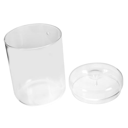 TOGEVAL Micro Landschaft Glasvase Transparent Pflanzgefäß DIY Terrarium Kreative Tischdeko Büro Garten Spagnummoos Pflanzenhalter für Mini Ökosysteme TOGEVAL Micro Landschaft Glasvase Transparent Pflanzgefäß DIY Terrarium Kreative Tischdeko Büro Garten Spagnummoos Pflanzenhalter für Mini Ökosysteme von TOGEVAL