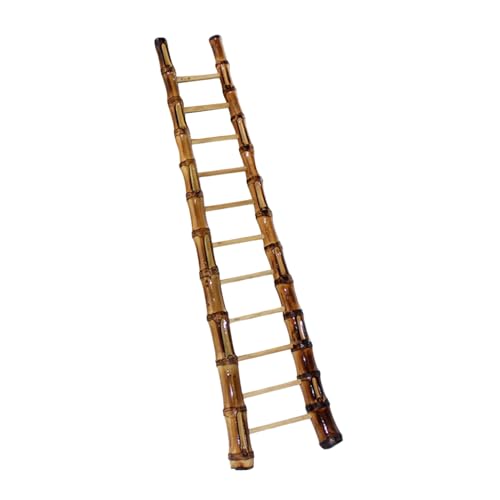 TOGEVAL Miniatur Bambusleiter aus Langlebigem Material Klein und Leicht für Puppenhaus Feengarten Dekoration Kindgerechtes Platzsparend und Stilvoll Gestaltet von TOGEVAL