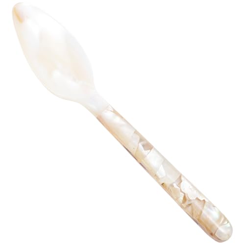 TOGEVAL Muschel design Löffel aus Natürlicher Muschel Fein gearbeitet und Vielseitig Kleine Servierlöffel für Desserts und Eis Geeignet für Zuhause und Dessertshops Feine Verarbeitung und TOGEVAL Muschel design Löffel aus Natürlicher Muschel Fein gearbeitet und Vielseitig Kleine Servierlöffel für Desserts und Eis Geeignet für Zuhause und Dessertshops Feine Verarbeitung und von TOGEVAL