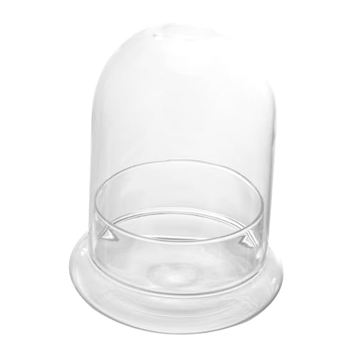 TOGEVAL Ökologisches Glasfläschchen mit Basis für DIY Mikrolandschaft Miniatur-Dekoration Transparentes Pflanzenglas für Schreibtisch Regal Wohnraumgestaltung TOGEVAL Ökologisches Glasfläschchen mit Basis für DIY Mikrolandschaft Miniatur-Dekoration Transparentes Pflanzenglas für Schreibtisch Regal Wohnraumgestaltung von TOGEVAL