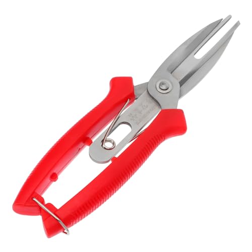 TOGEVAL Präzise Doppelklingige Gartenschere aus Rostfreiem Edelstahl Ergonomischer Griff Vielseitig für Obst und Gemüsepflege Astschere für Gartenarbeit und Baumschnitt Handliche von TOGEVAL